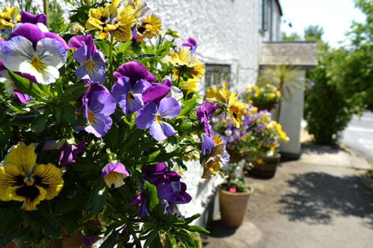 The Tytherleigh Arms Axminster Exterior foto
